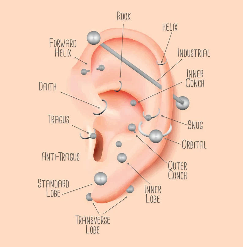 Piercing Party Appointment